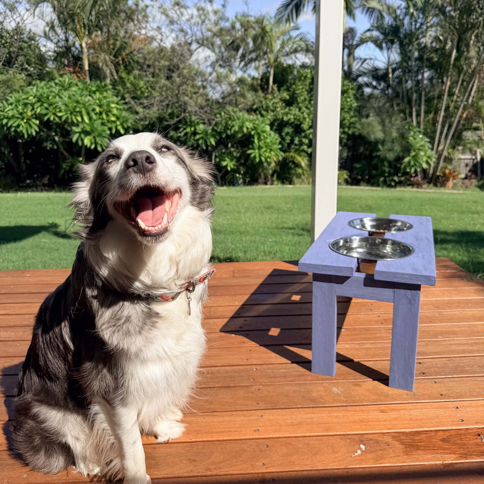 Large Dog Feeder