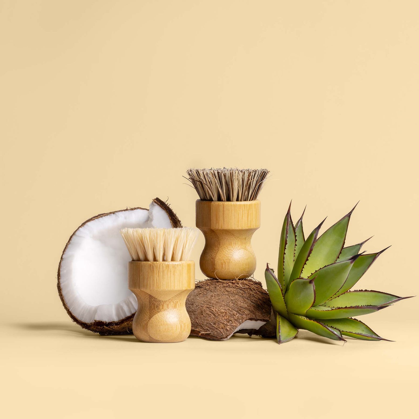 Dish Brushes