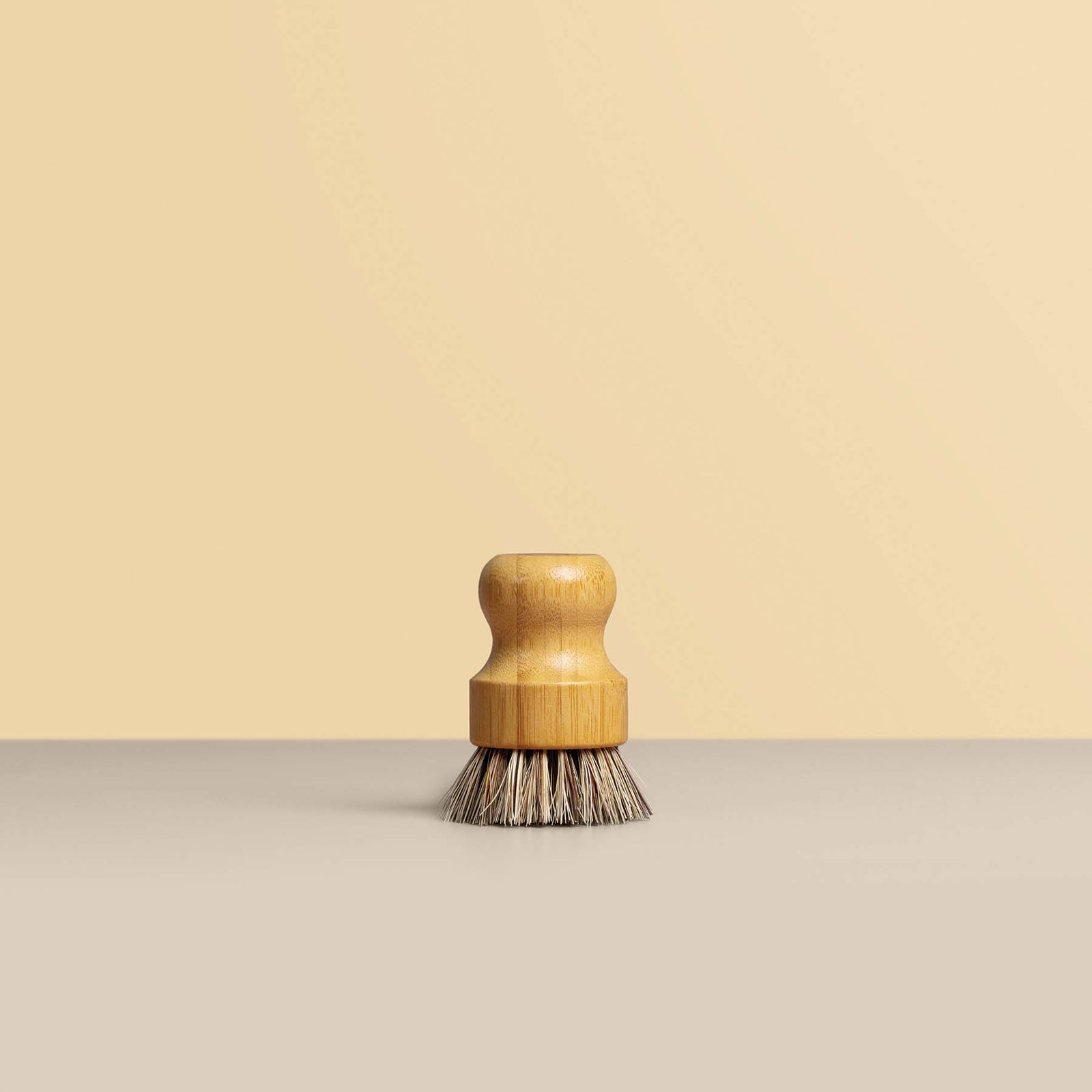 Dish Brushes
