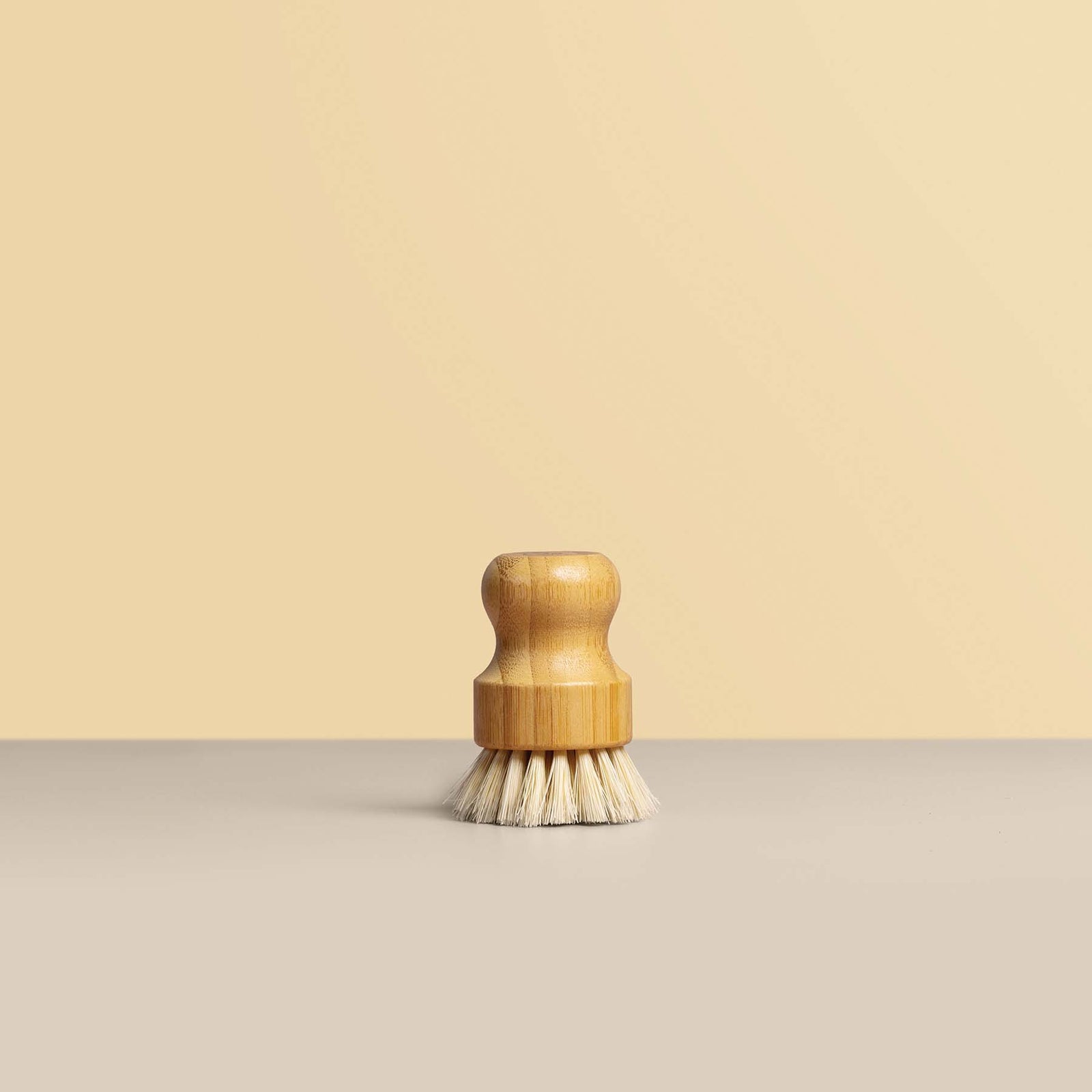 Dish Brushes