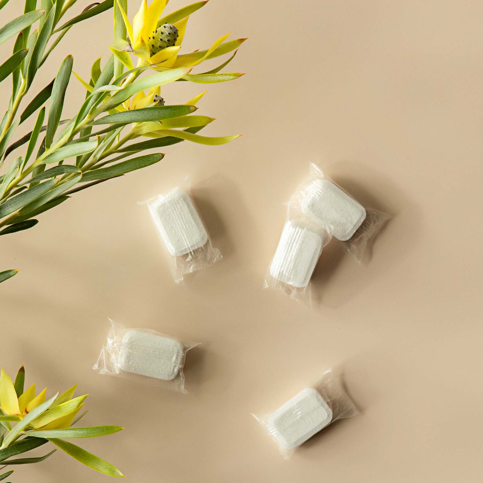 Dishwasher Tablet Starter Kit (French-made)