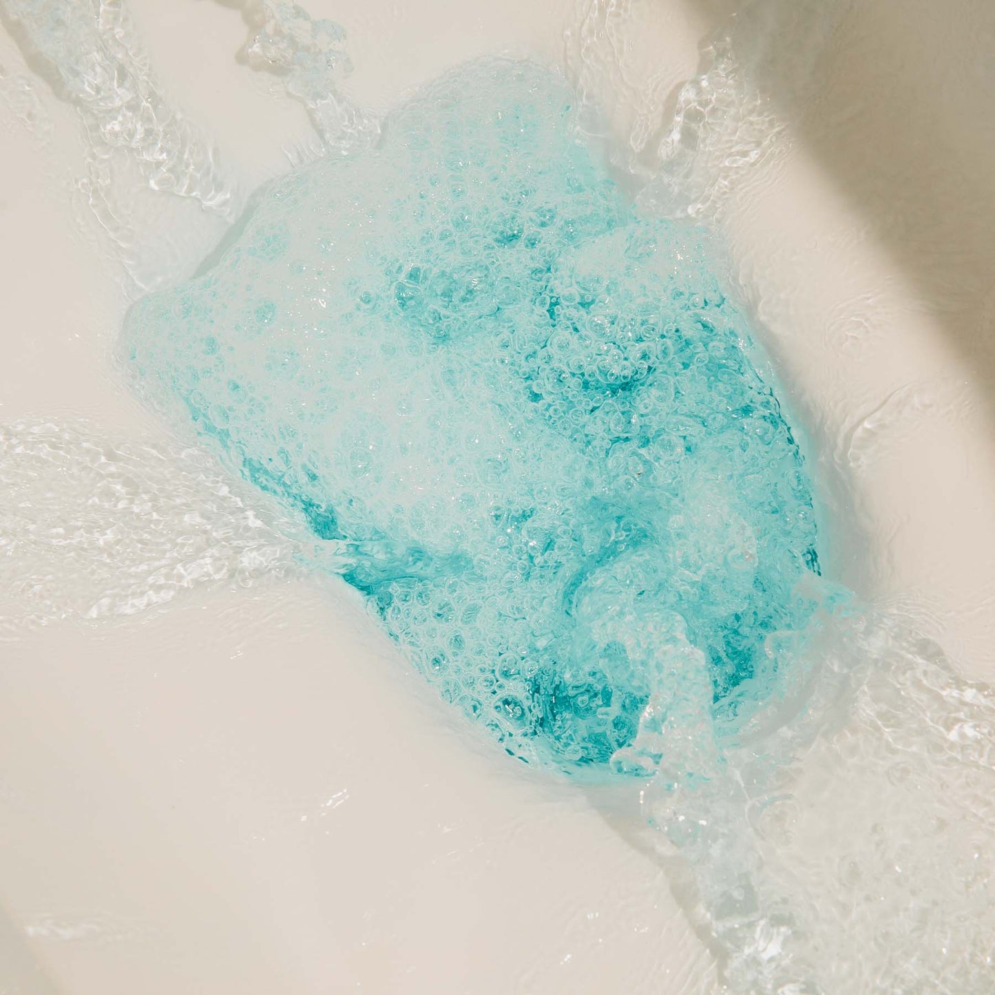 Toilet Block Starter Kit