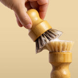 Dish Brushes 2 Pack