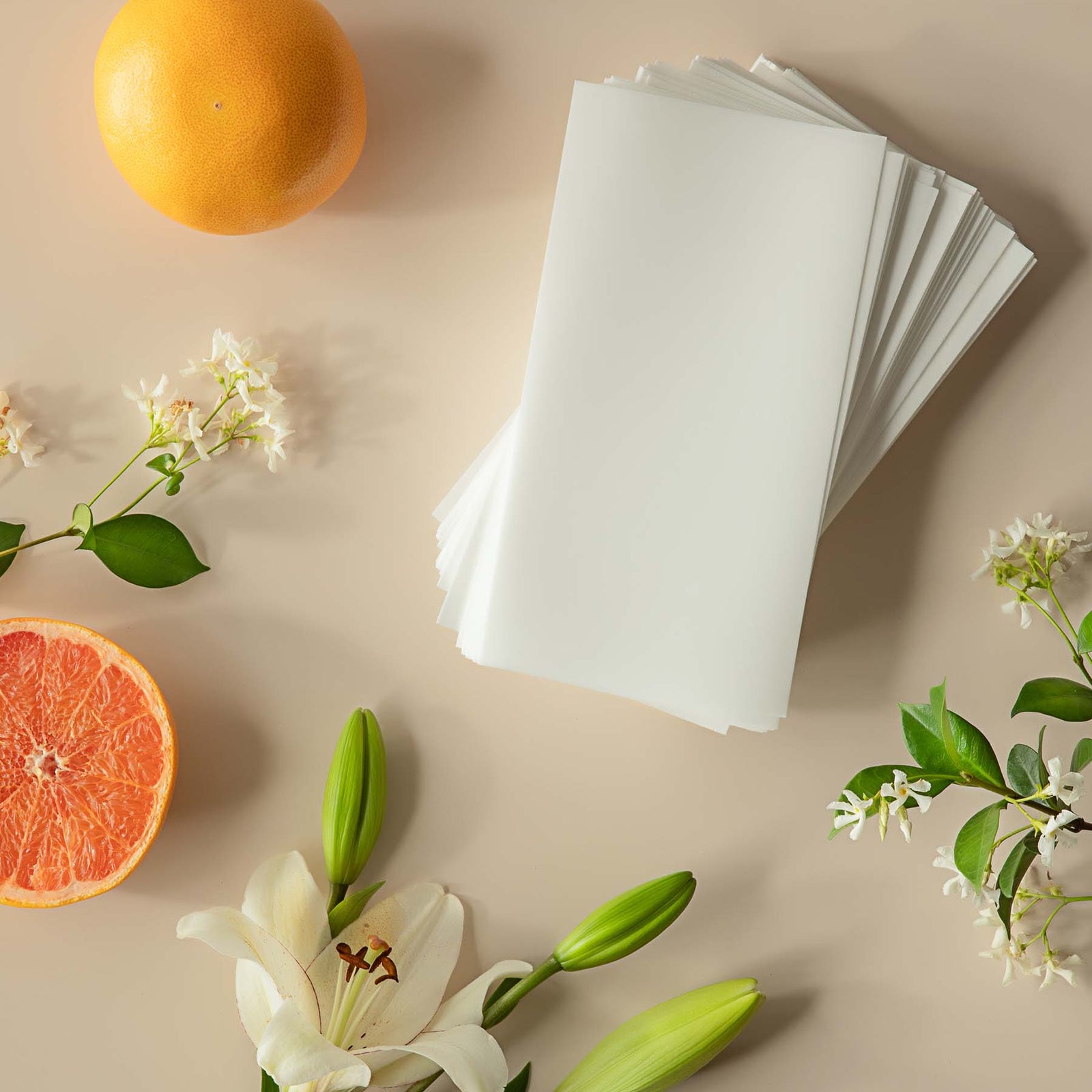 Laundry Detergent Sheets